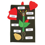 FABRIC LEARNING AIDS, PLANT IN A POCKET, 400 x 230mm, Set