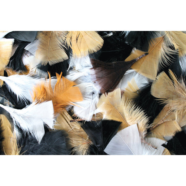FEATHERS, Natural, Pack of 50g