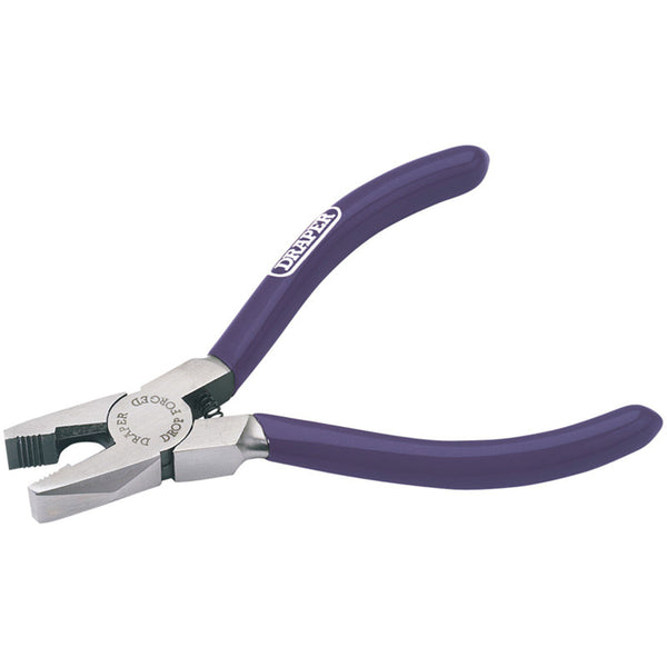 PLIERS, Small Combination, 125mm, Each