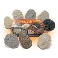 PLAY & EXPLORE FOSSILS, Set of, 8
