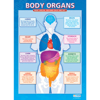 POSTER SET, The Human Body, Pack of, 5
