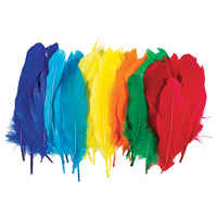 COLLAGE, FEATHERS, Large, Pack of, 25