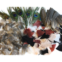 COLLAGE, FEATHERS, Naturals, Class Packs, Class Pack