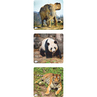 WASHABLE PLASTIC ANIMAL PUZZLES, Age 3+, Set of, 3