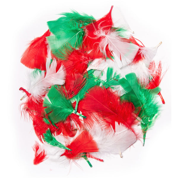 FESTIVE FEATHERS, Pack of, 50g