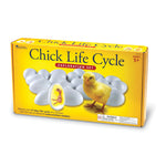 CHICK LIFE CYCLE EXPLORATION SET, Set