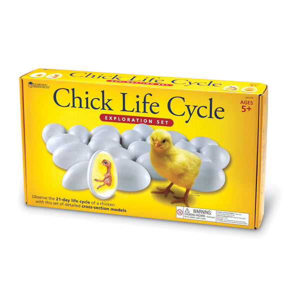 CHICK LIFE CYCLE EXPLORATION SET, Set
