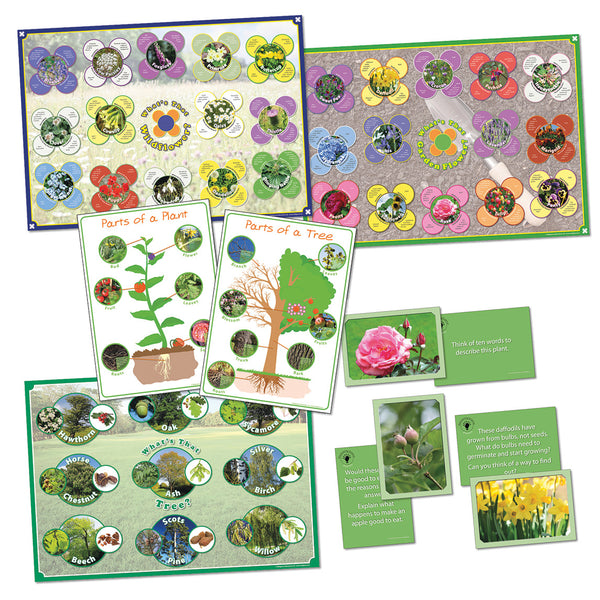 DISCOVERING SCIENCE - PLANTS, Set