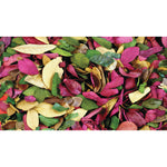 DRIED LEAVES, Pack of, 50g