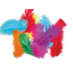 COLLAGE, FEATHERS, Brights, Pack of, 50g