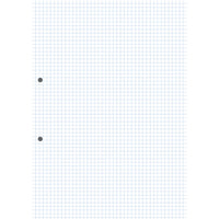 EXERCISE PAPERS, A4 (297 x 210mm), 75gsm White Paper - Bulk Purchase, 5mm Squares, Ream of 500 sheets, punched 2 holes