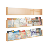 SHELF STYLE BROCHURE DISPLAY, Black, Each