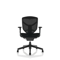 ERGONOMIC POSTURE CHAIRS, Cambridge Mesh Back Chair, Blizzard