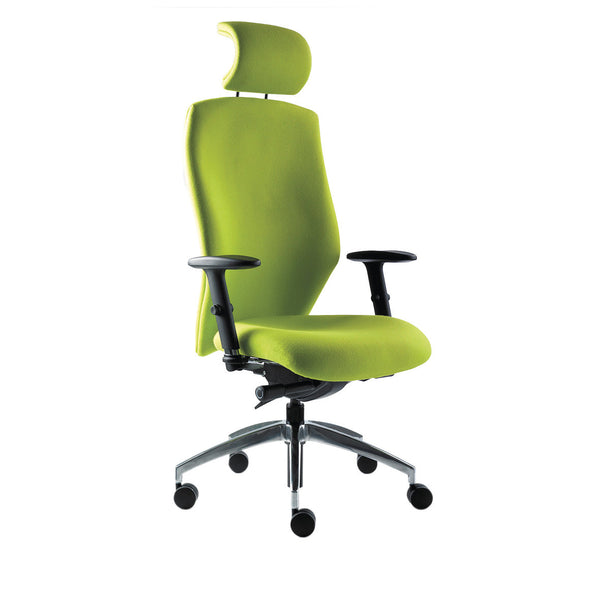 HIGH BACK POSTURE CHAIR, Product Options, Head Rest
