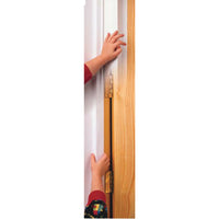 DOOR, Hinge Pin Strip (for rear of door), White, Each